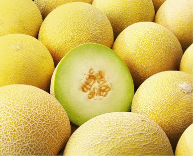 Melon Jaune et Galia