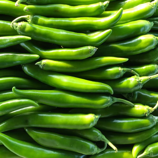Piment Vert Sahem/Starter