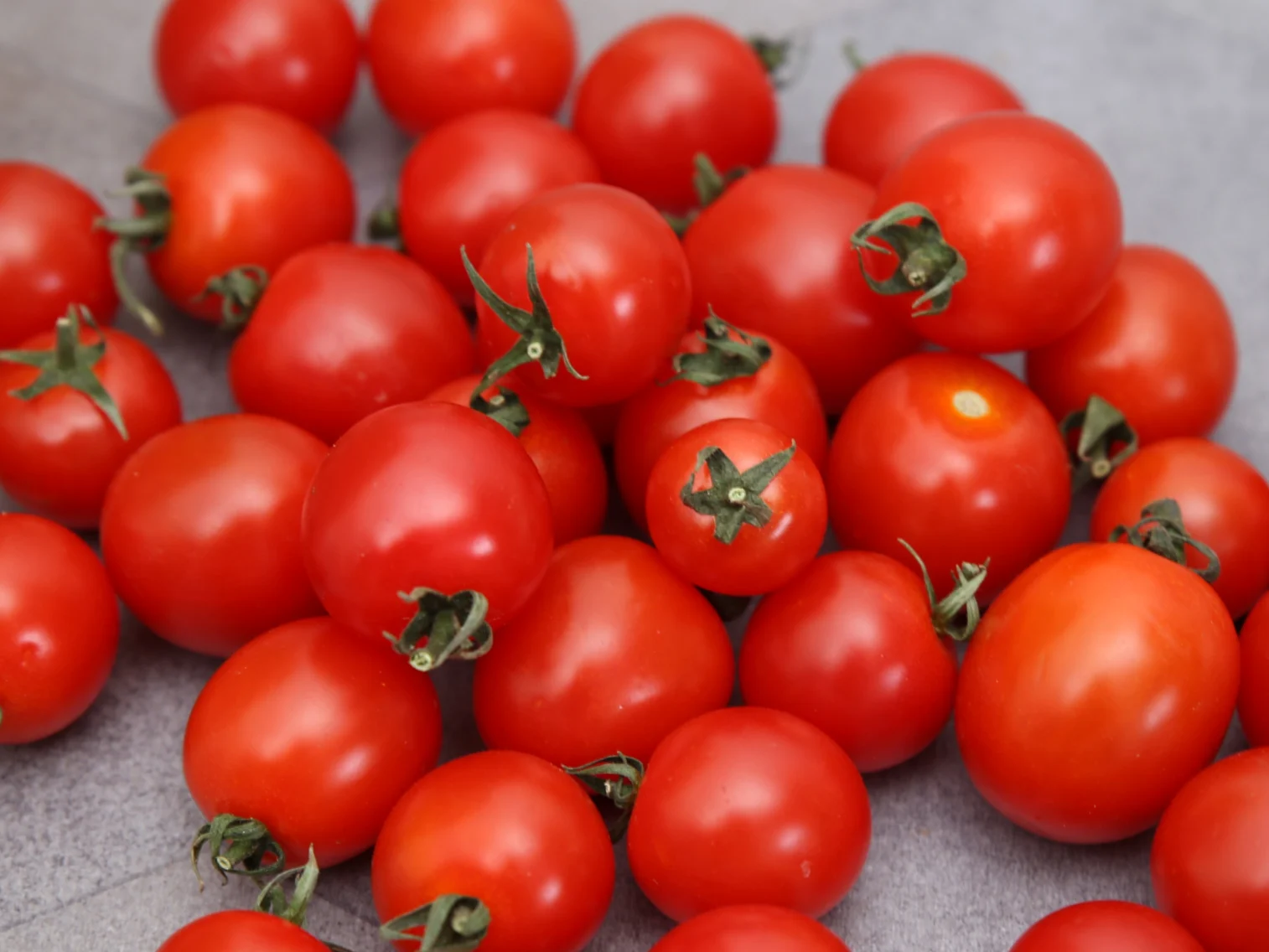 Tomate Cerise Ronde