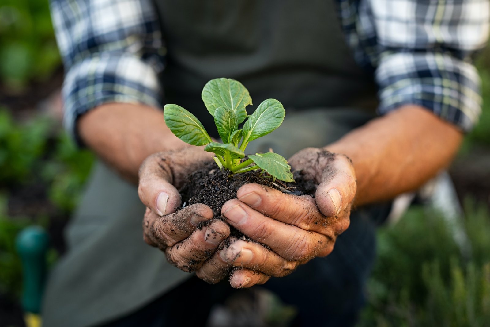 Agriculture et production