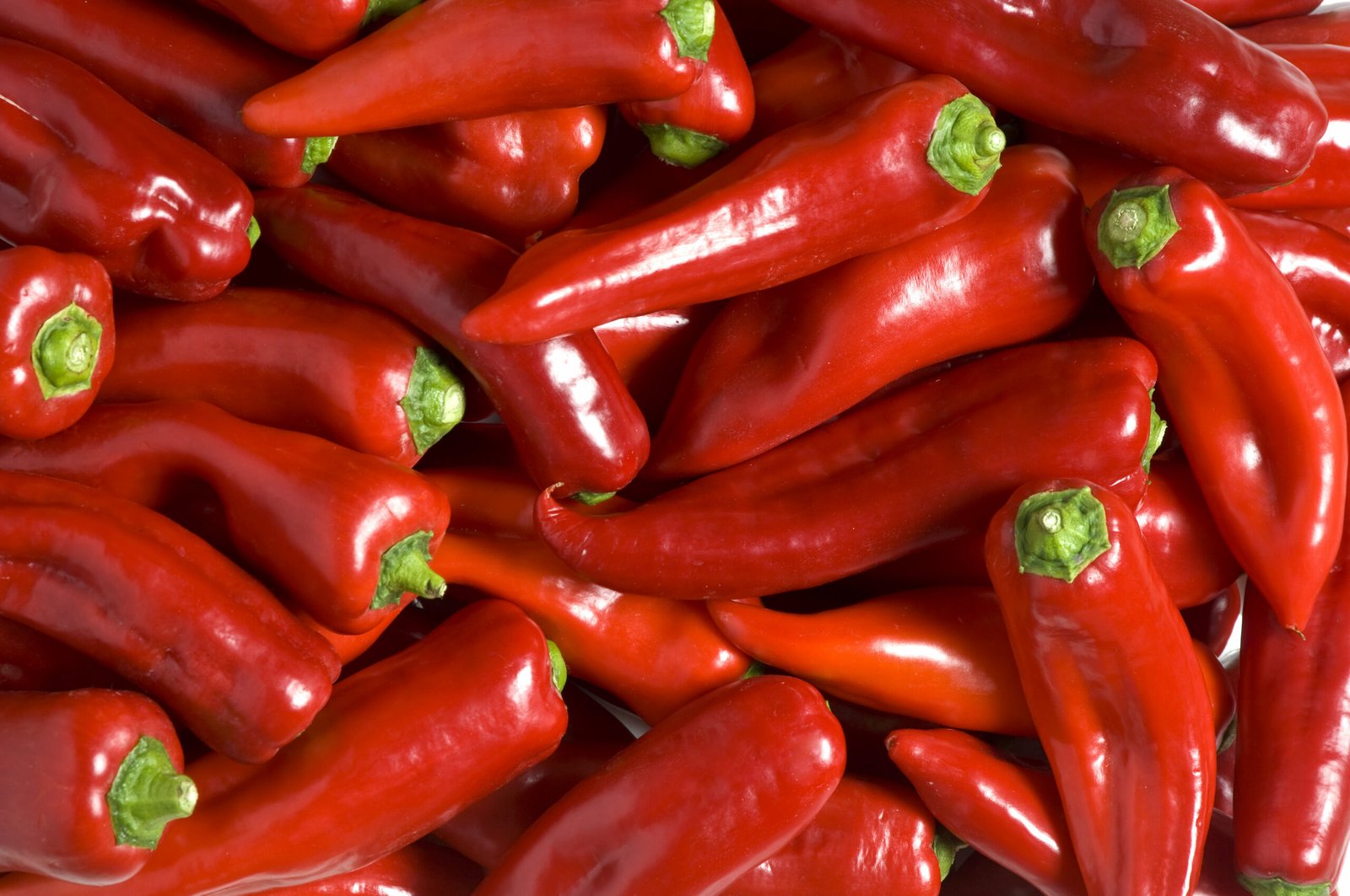 Poivron Kapia Rouge